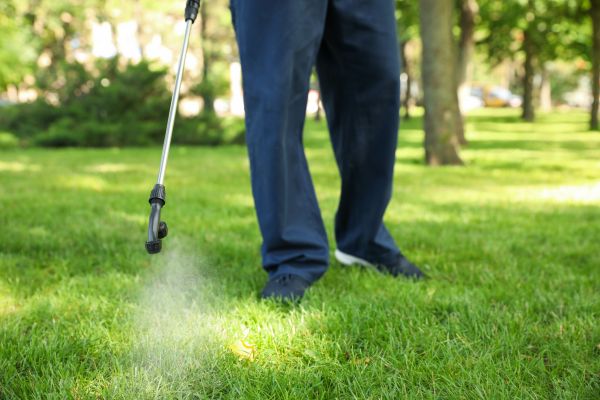 Gig Harbor Lawn Treatment